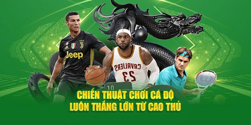 Chiến thuật chơi cá độ luôn thắng lớn từ cao thủ Xin88