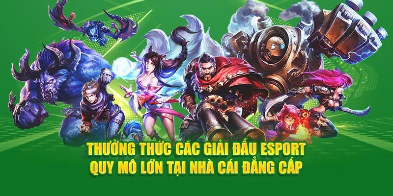 Thưởng thức các giải đấu thể thao điện tử quy mô lớn tại nhà cái đẳng cấp Xin88