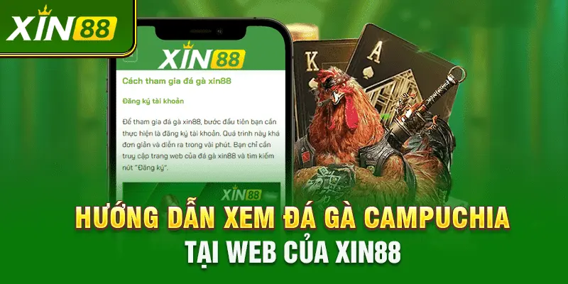 Các ưu điểm khi xem đa gà tại Xin88, đảm bảo hài lòng tất cả anh em